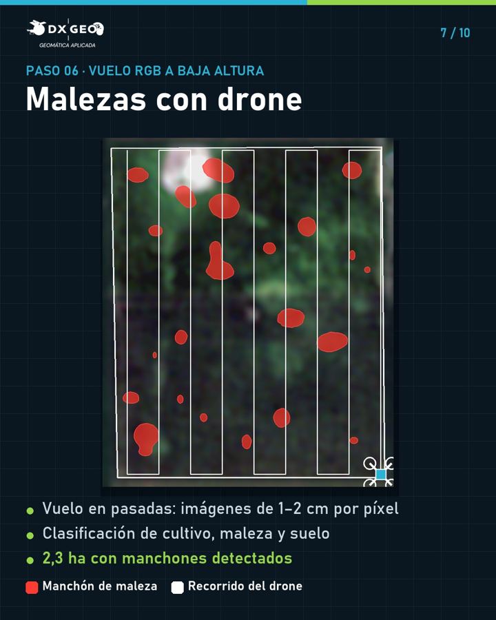 Paso 6: malezas con drone