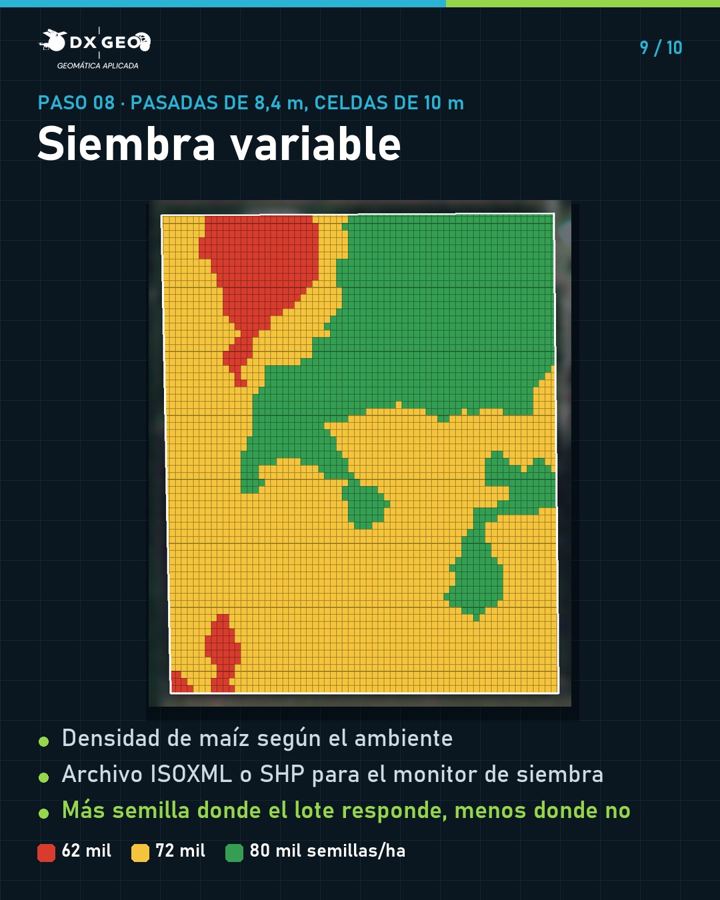 Paso 8: siembra variable